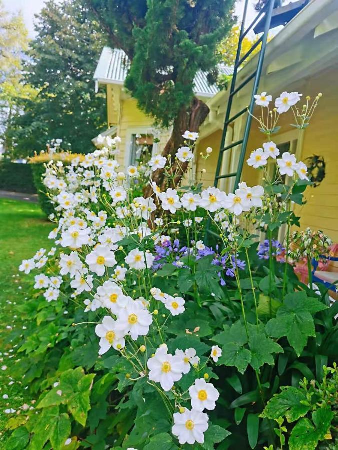 Country Villa Estate Ngongotaha Екстериор снимка