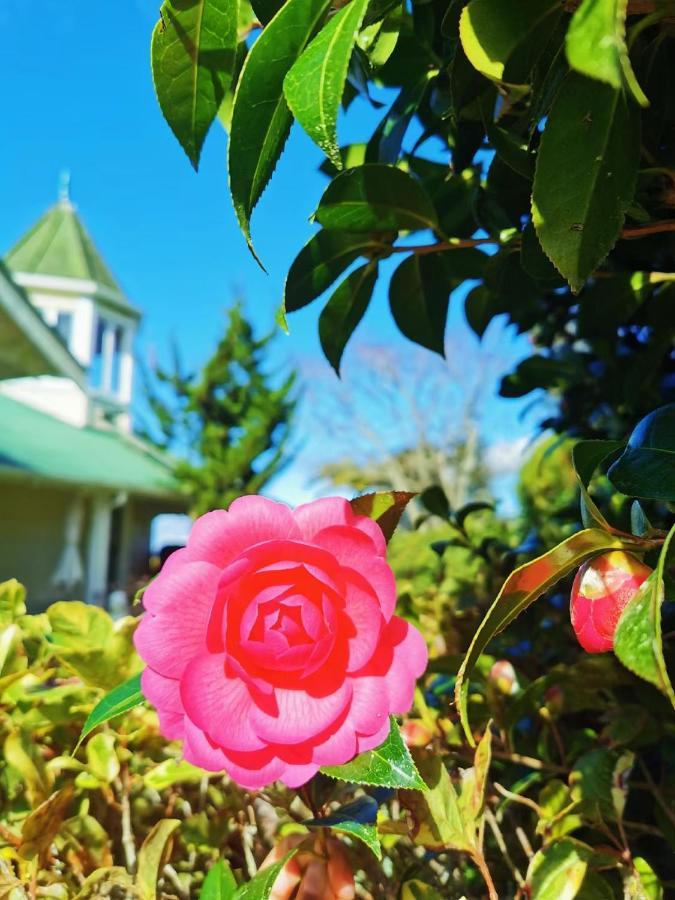 Country Villa Estate Ngongotaha Екстериор снимка