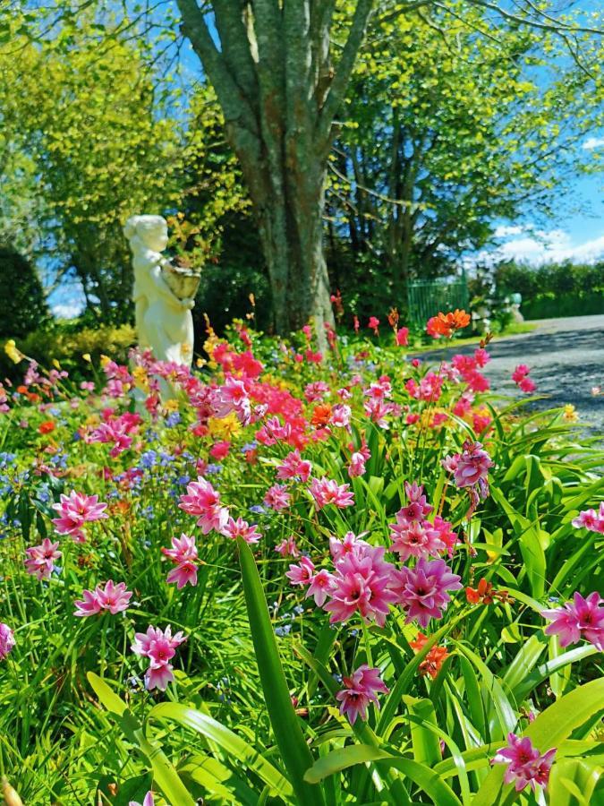 Country Villa Estate Ngongotaha Екстериор снимка