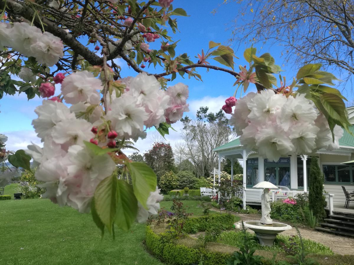 Country Villa Estate Ngongotaha Екстериор снимка