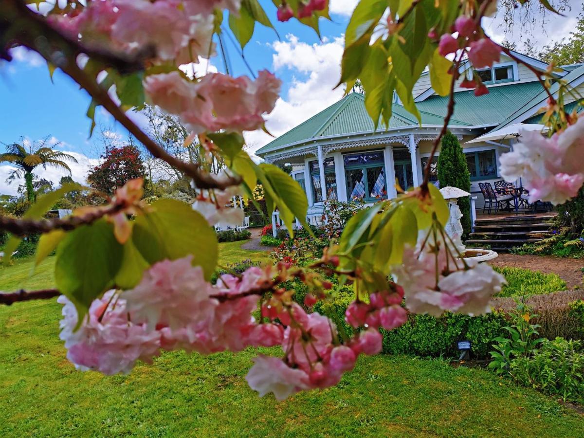 Country Villa Estate Ngongotaha Екстериор снимка